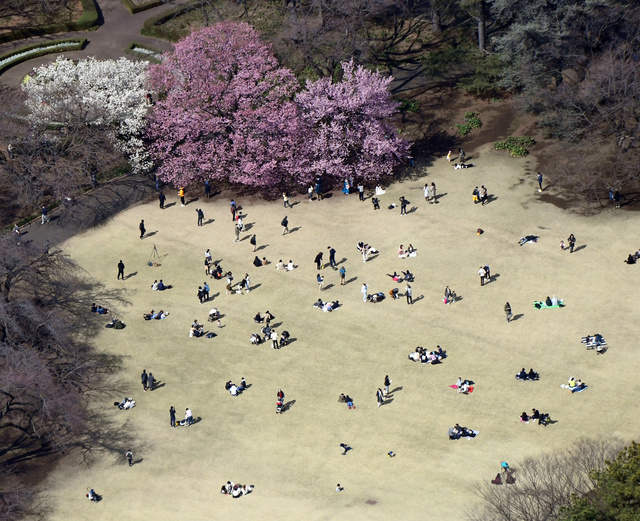 Shinjuku İmparatorluk Parkı 27 Mart’tan itibaren geçici olarak kapalı